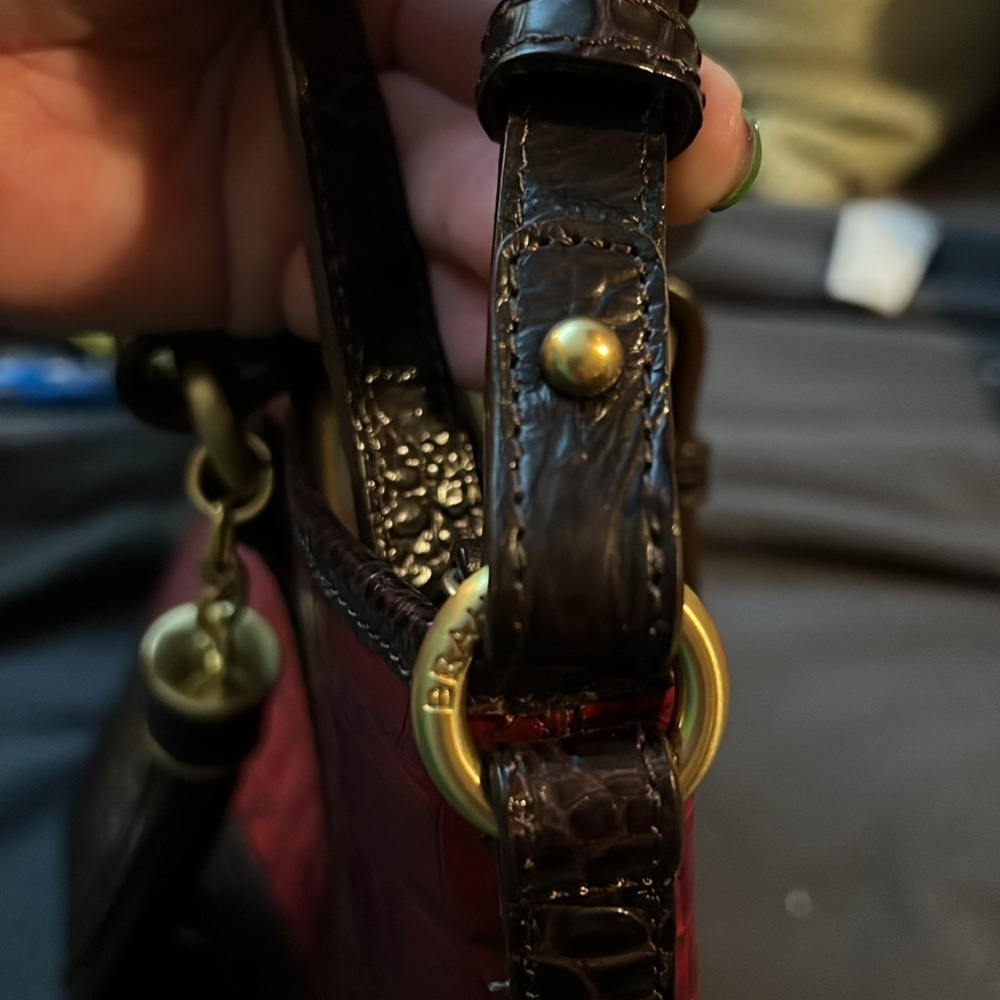 Brahmin - Picture 4 of 9